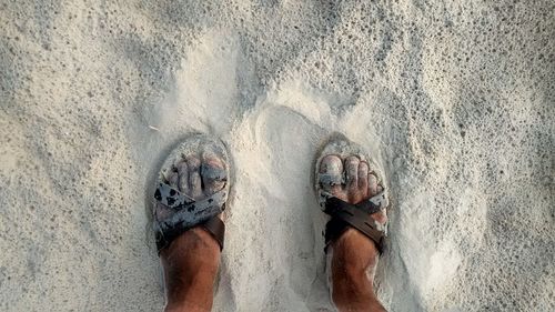 Low section of man standing on beach