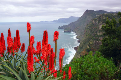 Scenic view of sea by mountain against sky