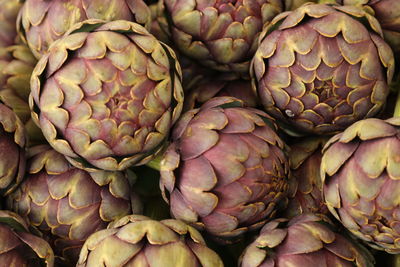 Full frame shot of vegetables at market