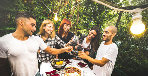 Friends toasting wine at vineyard