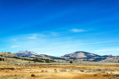 Scenic view of landscape against blue sky