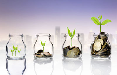 Close-up of plants and coins in glass jars representing growth against colored background