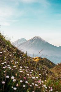 Scenic view of volcanic mountain against sky