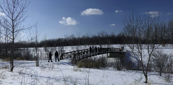 Lake with bare trees in background