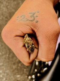 Close-up of hand holding dry leaf