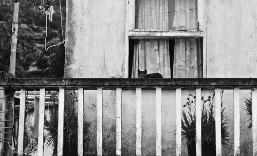 Window of old building