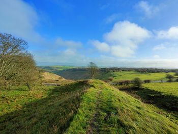 Scenic view of landscape against sky