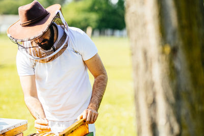 Beekeeper inspects beehive