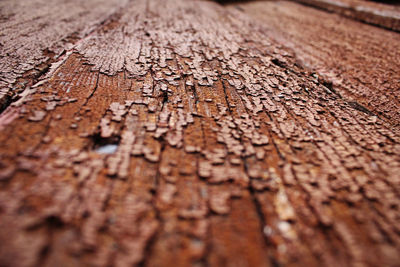 Close-up of rusty wood