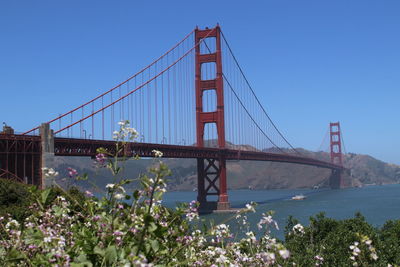 Golden gate bridge over bay against clear blue sky