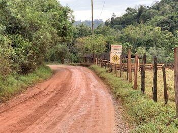 Dirt road amidst trees and plants