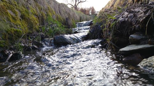 River flowing in forest during winter