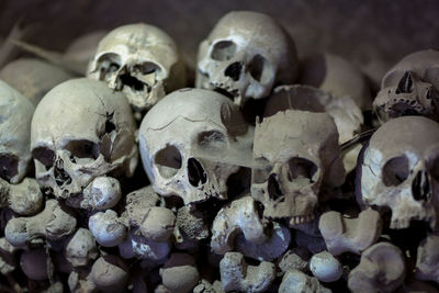 Close-up of human skulls