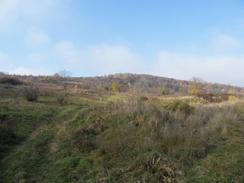 Scenic view of field against sky