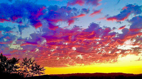 Silhouette of trees at sunset