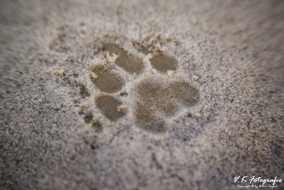 Full frame shot of sand on beach