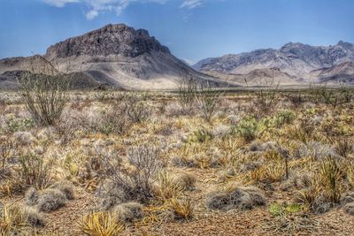 Countryside landscape against rocky mountains