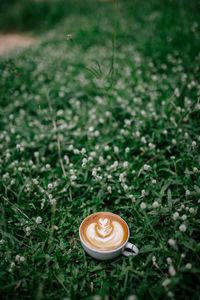 High angle view of coffee