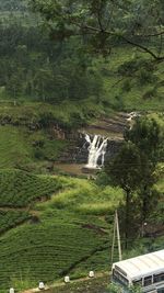 Scenic view of river amidst trees in forest