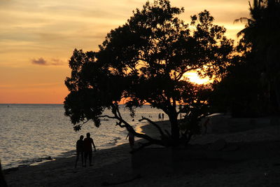 Silhouette tree on beach against sky during sunset