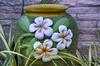 Close-up of flowering plant against wall