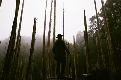 Low angle view of man standing amidst bare trees in forest