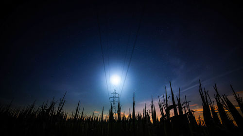 Low angle view of silhouette grass against sky during sunrise