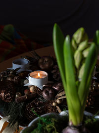 candle
