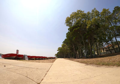 Empty road by trees against sky on sunny day