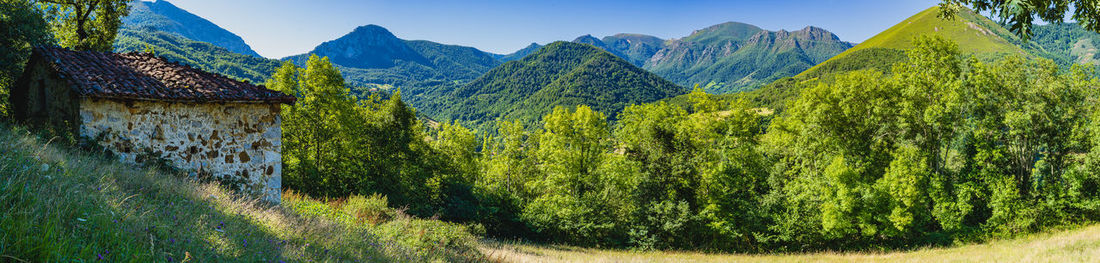 mountain