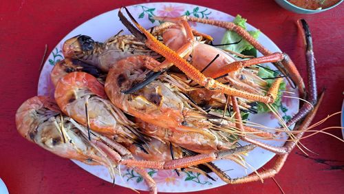 High angle view of seafood on table