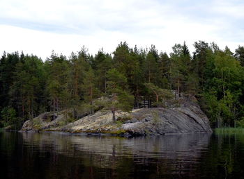 Scenic view of lake in forest against sky