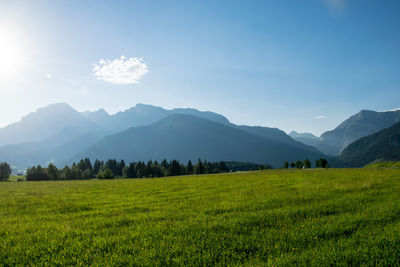 Scenic view of field against sky