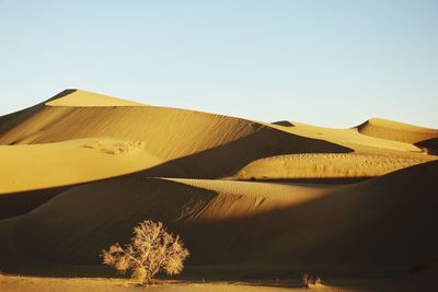 Scenic view of desert against clear sky