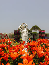 Low angle view of statue amidst flowering plants against clear sky