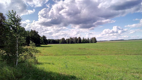 Grassy field against cloudy sky