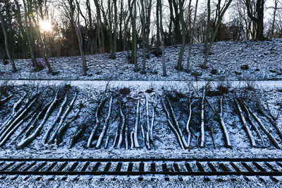 Sunlight falling on snow covered landscape