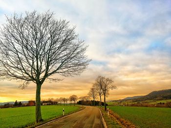 Bare tree on field against sky during sunset