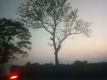 Silhouette tree against sky at dusk