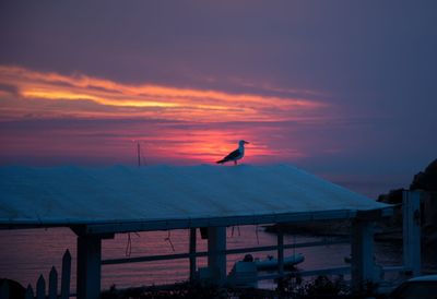 Silhouette man standing on bridge against sky during sunset