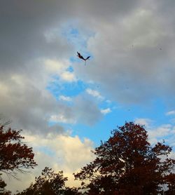 Low angle view of airplane flying against cloudy sky
