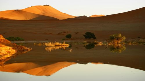 Scenic view of desert against sky