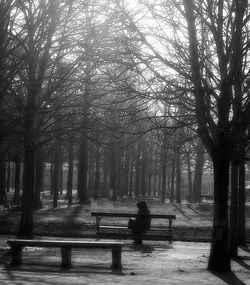 Man sitting on bare tree