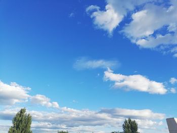 Low angle view of trees against blue sky