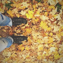 Low section of person standing in park