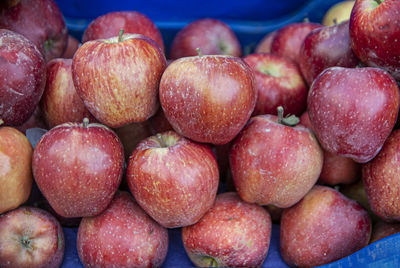 Full frame shot of apples for sale in market