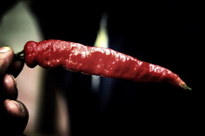 Close-up of hand holding red leaf