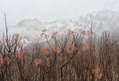 Scenic view of snow covered mountains against sky