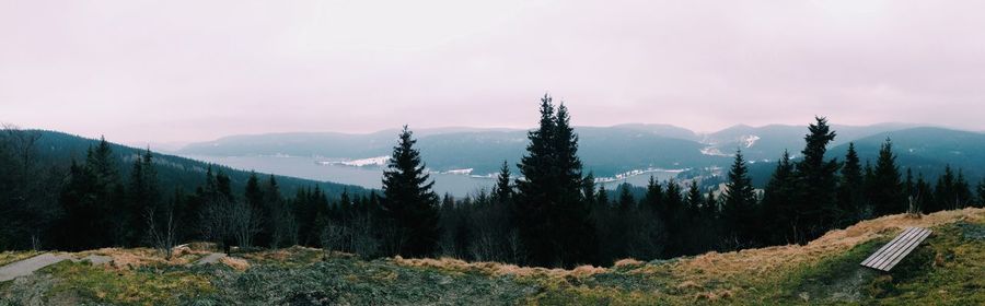 Panoramic shot of trees on landscape against sky