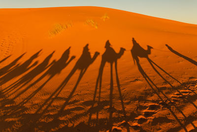 Group of people on sand dune